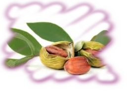 jojoba